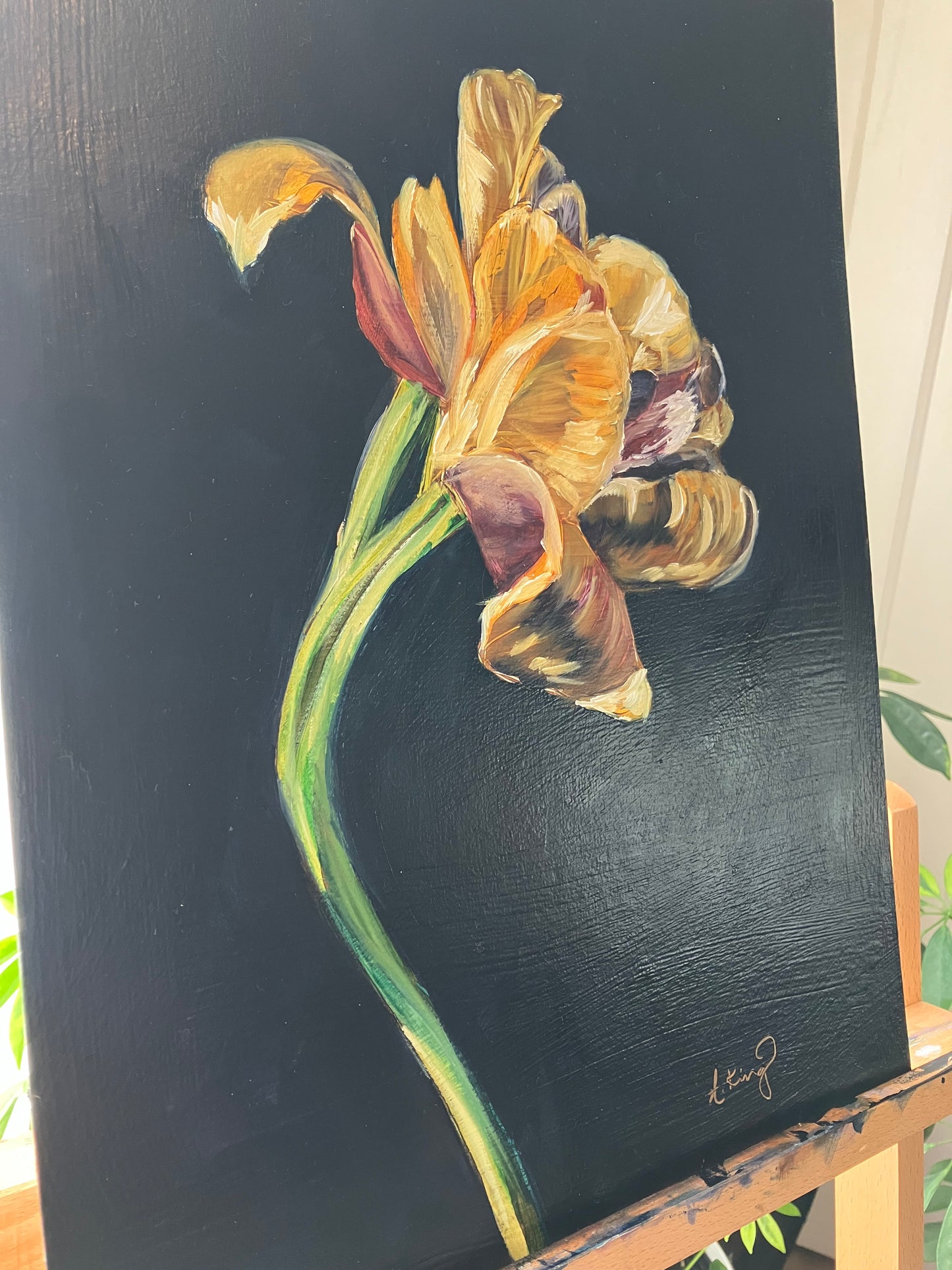 Golden Grace | ORIGINAL