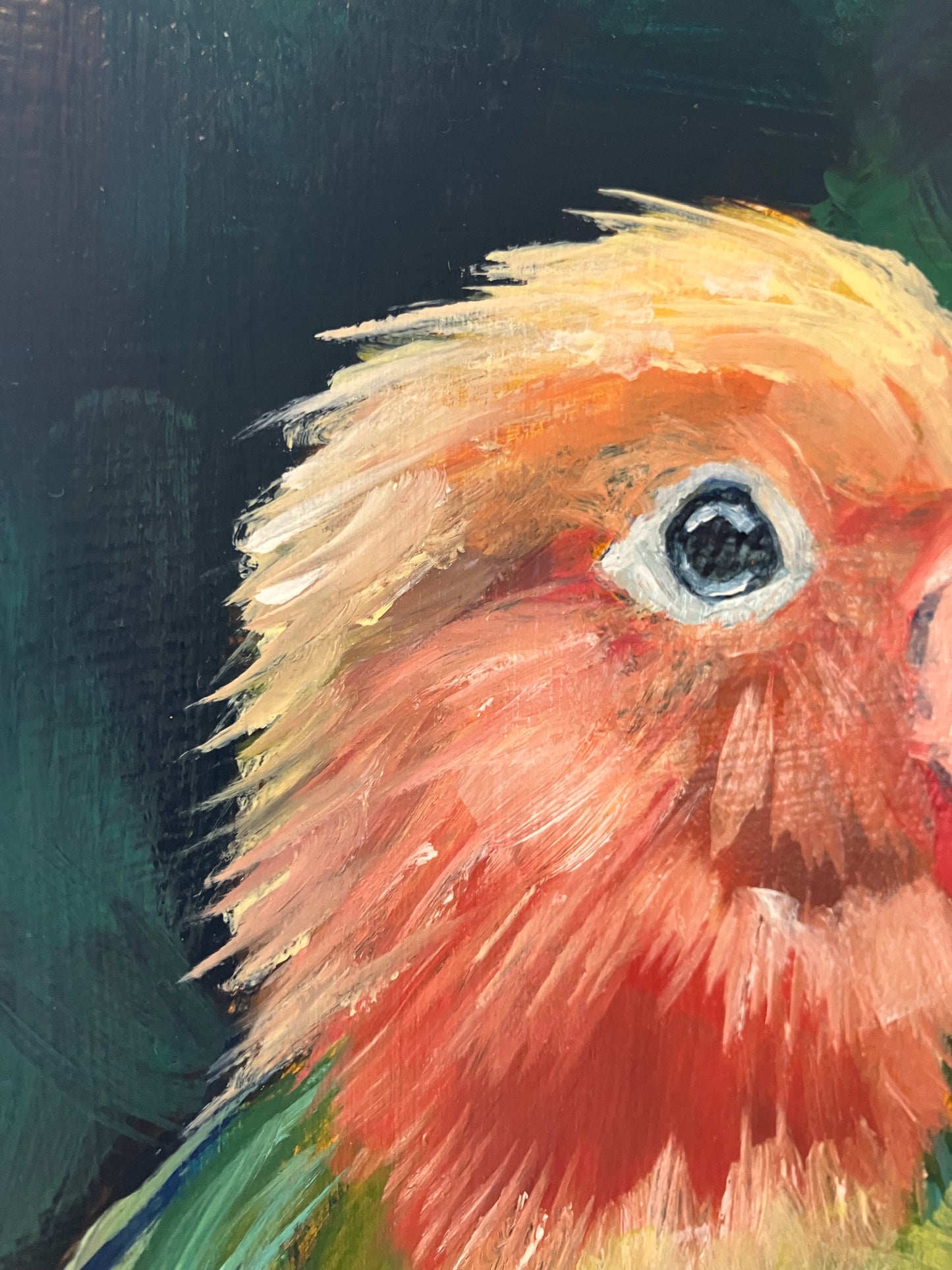 Lovebirds | ORIGINAL